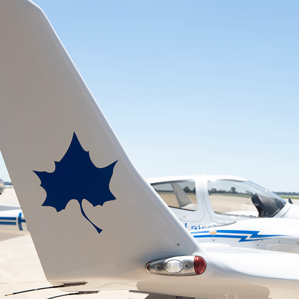 A close-up view of a white aircraft’s tail that features a large blue Sycamore leaf symbol. Below the tail, part of the body and cockpit is visible, showing a clear, bubble-shaped canopy with blue lightning-style markings. The aircraft sits on a tarmac under a blue sky, with green landscape visible in the distance.